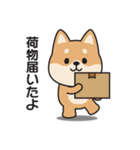 家族連絡用〇しばいぬのスタンプ2（個別スタンプ：35）