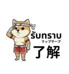 ムエタイ柴犬の日本語とタイ語で日常会話（個別スタンプ：1）