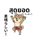 ムエタイ柴犬の日本語とタイ語で日常会話（個別スタンプ：7）