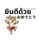 ムエタイ柴犬の日本語とタイ語で日常会話（個別スタンプ：8）