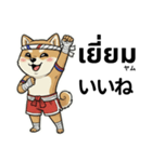 ムエタイ柴犬の日本語とタイ語で日常会話（個別スタンプ：15）