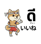 ムエタイ柴犬の日本語とタイ語で日常会話（個別スタンプ：16）