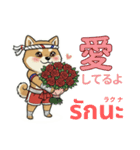 ムエタイ柴犬の日本語とタイ語で日常会話（個別スタンプ：20）