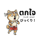 ムエタイ柴犬の日本語とタイ語で日常会話（個別スタンプ：22）