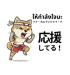 ムエタイ柴犬の日本語とタイ語で日常会話（個別スタンプ：25）