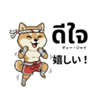 ムエタイ柴犬の日本語とタイ語で日常会話（個別スタンプ：29）