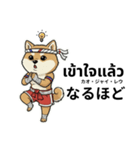 ムエタイ柴犬の日本語とタイ語で日常会話（個別スタンプ：30）