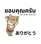 ムエタイ柴犬の日本語とタイ語で日常会話（個別スタンプ：32）