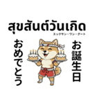 ムエタイ柴犬の日本語とタイ語で日常会話（個別スタンプ：40）