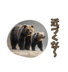 本音で語るクマたちの言い分（個別スタンプ：3）