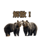 本音で語るクマたちの言い分（個別スタンプ：5）