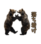 本音で語るクマたちの言い分（個別スタンプ：7）