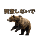 本音で語るクマたちの言い分（個別スタンプ：9）
