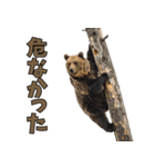 本音で語るクマたちの言い分（個別スタンプ：12）