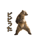 本音で語るクマたちの言い分（個別スタンプ：13）
