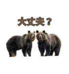 本音で語るクマたちの言い分（個別スタンプ：14）
