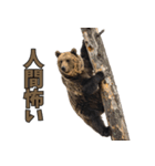 本音で語るクマたちの言い分（個別スタンプ：19）
