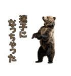 本音で語るクマたちの言い分（個別スタンプ：20）