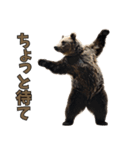 本音で語るクマたちの言い分（個別スタンプ：22）