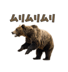 本音で語るクマたちの言い分（個別スタンプ：25）