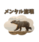 本音で語るクマたちの言い分（個別スタンプ：28）