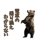 本音で語るクマたちの言い分（個別スタンプ：30）
