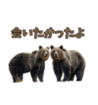 本音で語るクマたちの言い分（個別スタンプ：31）