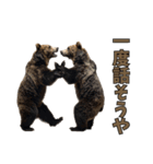 本音で語るクマたちの言い分（個別スタンプ：32）