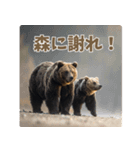 本音で語るクマたちの言い分（個別スタンプ：36）