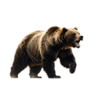 本音で語るクマたちの言い分（個別スタンプ：37）