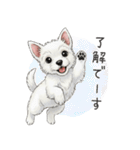 いつでも使える♡ウエスティの日常（個別スタンプ：3）