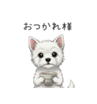 いつでも使える♡ウエスティの日常（個別スタンプ：5）