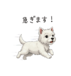 いつでも使える♡ウエスティの日常（個別スタンプ：10）