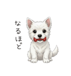 いつでも使える♡ウエスティの日常（個別スタンプ：15）