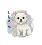 いつでも使える♡ウエスティの日常（個別スタンプ：16）
