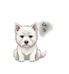 いつでも使える♡ウエスティの日常（個別スタンプ：19）
