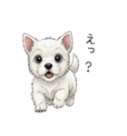 いつでも使える♡ウエスティの日常（個別スタンプ：20）