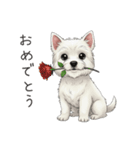 いつでも使える♡ウエスティの日常（個別スタンプ：21）