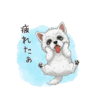 いつでも使える♡ウエスティの日常（個別スタンプ：23）