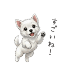 いつでも使える♡ウエスティの日常（個別スタンプ：25）