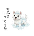 いつでも使える♡ウエスティの日常（個別スタンプ：28）