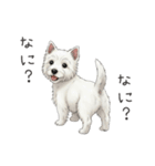 いつでも使える♡ウエスティの日常（個別スタンプ：29）