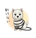いつでも使える♡ウエスティの日常（個別スタンプ：30）
