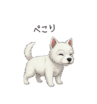 いつでも使える♡ウエスティの日常（個別スタンプ：31）