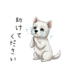 いつでも使える♡ウエスティの日常（個別スタンプ：32）