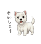 いつでも使える♡ウエスティの日常（個別スタンプ：34）