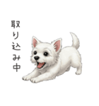 いつでも使える♡ウエスティの日常（個別スタンプ：35）