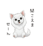 いつでも使える♡ウエスティの日常（個別スタンプ：37）