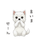 いつでも使える♡ウエスティの日常（個別スタンプ：38）