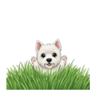 いつでも使える♡ウエスティの日常（個別スタンプ：40）